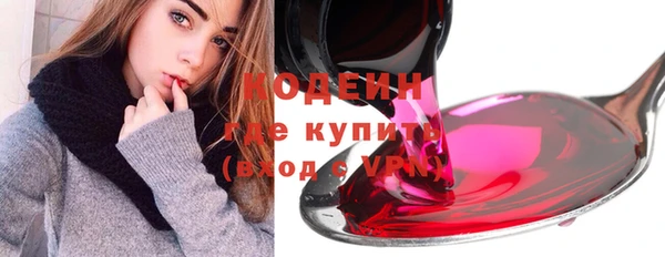 шишки Абаза