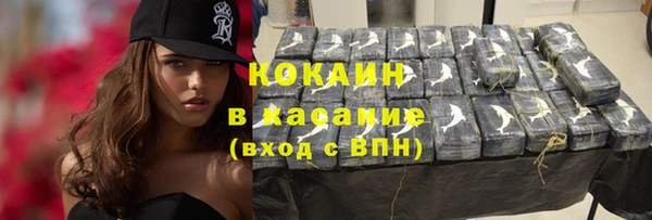 шишки Абаза