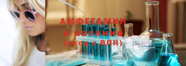 шишки Абаза