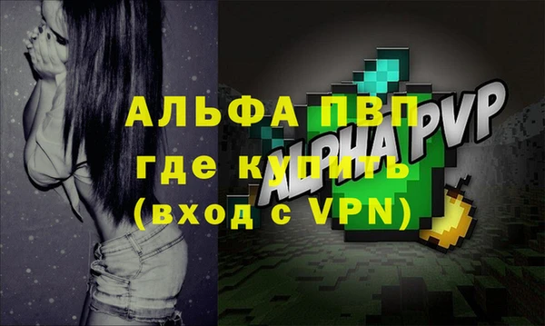 шишки Абаза