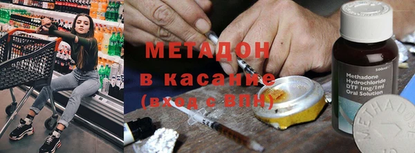 шишки Абаза