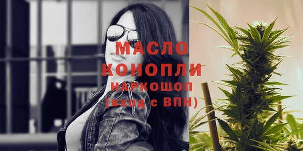 шишки Абаза