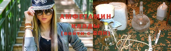 шишки Абаза