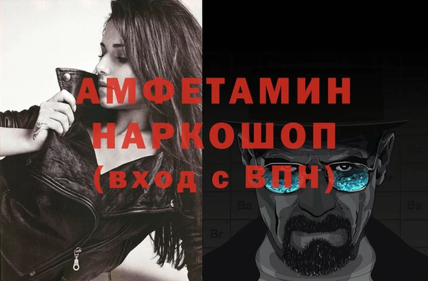 шишки Абаза