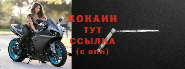 шишки Абаза